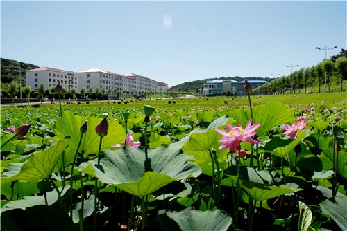 辽宁职业学院铁岭校区图片